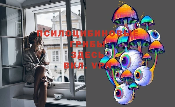 твердый Нефтекумск