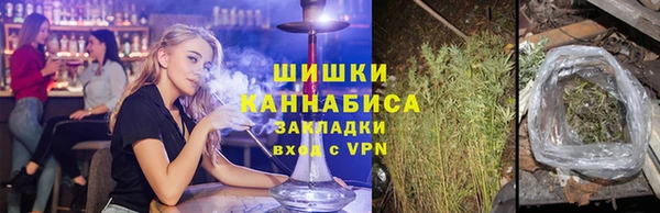прущая мука Нея